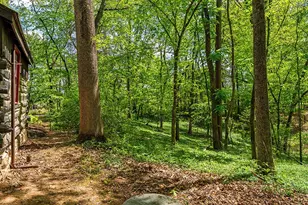 4439 Old Forge Rd, Luray, VA 22835 - Photo 87