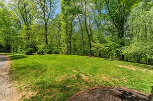 4439 Old Forge Rd, Luray, VA 22835 - Photo 55
