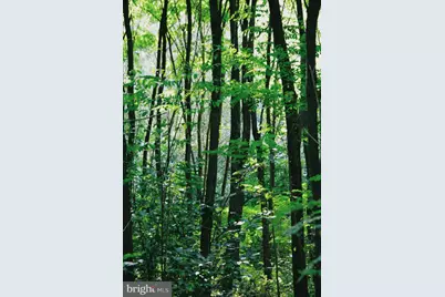 0 National Forest Access Road, Luray, VA 22835 - Photo 1