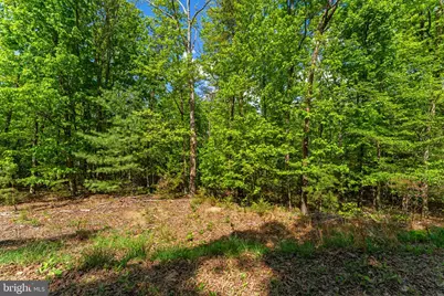 Lots A15 & A16 Holiday Hill Road, Luray, VA 22835 - Photo 5
