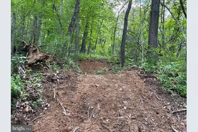 Lot 2 Beylors Ferry, Rileyville, VA 22650 - Photo 7