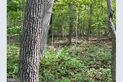 Lot 2 Beylors Ferry, Rileyville, VA 22650 - Photo 3