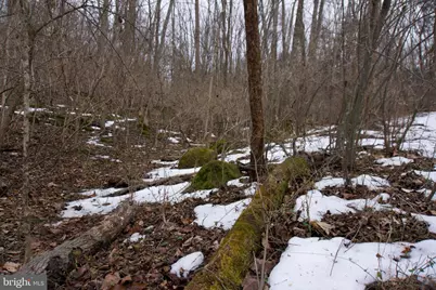 Lot 2 Beylors Ferry, Rileyville, VA 22650 - Photo 23