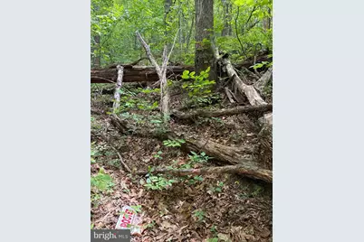 Lot 2 Beylors Ferry, Rileyville, VA 22650 - Photo 11