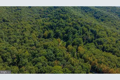 279 Helms Road, Stanley, VA 22851 - Photo 71