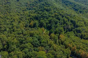 279 Helms Rd, Stanley, VA 22851 - Photo 71