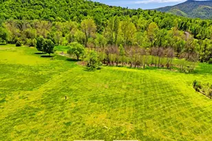 6315 Ida Rd, Stanley, VA 22851 - Photo 65