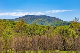 6315 Ida Rd, Stanley, VA 22851 - Photo 69
