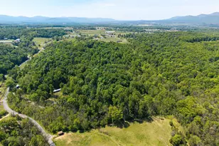 269 Comer Ave, Shenandoah, VA 22849 - Photo 53