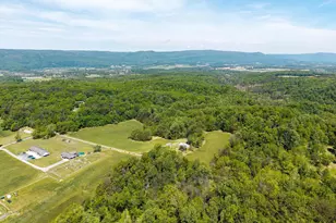 269 Comer Ave, Shenandoah, VA 22849 - Photo 41