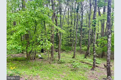 536 Circle Drive, Stanley, VA 22851 - Photo 17