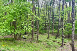 536 Circle Dr, Stanley, VA 22851 - Photo 17