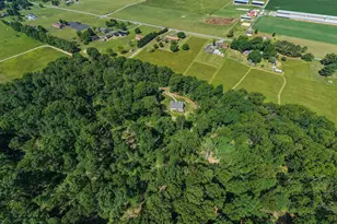 215 Brick Church Ln, Shenandoah, VA 22849 - Photo 65