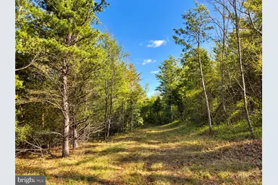 Harper Valley Lot 9A Site 2, Luray, VA 22835 - Photo 11