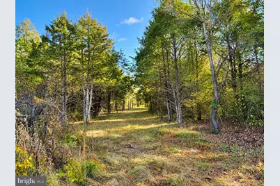 Harper Valley Lot 9A Site 2, Luray, VA 22835 - Photo 9