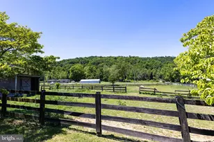 3259 Ida Rd, Luray, VA 22835 - Photo 129