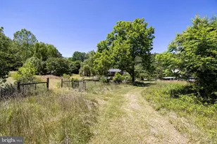 3259 Ida Rd, Luray, VA 22835 - Photo 121