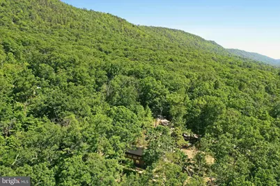 1307 Cardinal Drive, Luray, VA 22835 - Photo 11