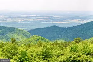100 Cottage Dr, Luray, VA 22835 - Photo 57