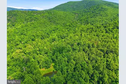 Jordan Hollow Rd, Stanley, VA 22851 - Photo 25