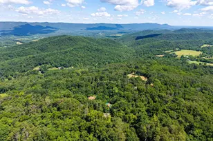 707 Overlook Dr, Rileyville, VA 22650 - Photo 85