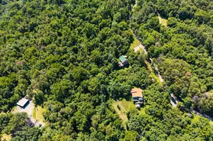 707 Overlook Dr, Rileyville, VA 22650 - Photo 87