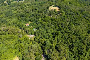 707 Overlook Dr, Rileyville, VA 22650 - Photo 89