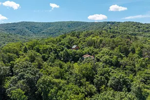 707 Overlook Dr, Rileyville, VA 22650 - Photo 75
