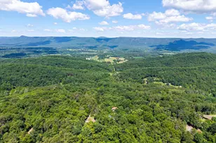 707 Overlook Dr, Rileyville, VA 22650 - Photo 83
