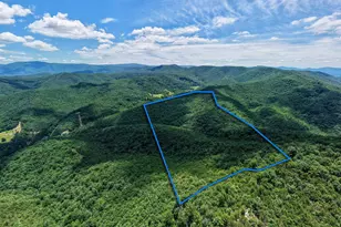 0 Dovel Hollow Rd, Stanley, VA 22851 - Photo 1