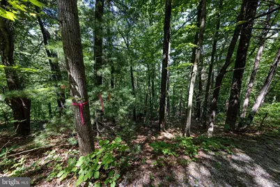 Lots 27, 28 & 29 Helms Road, Stanley, VA 22851 - Photo 43