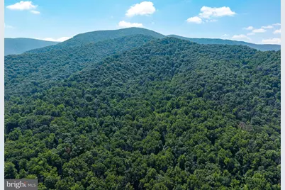 Lots 27, 28 & 29 Helms Road, Stanley, VA 22851 - Photo 25