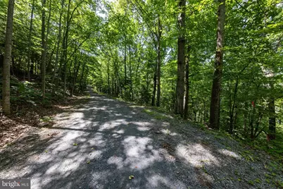Lot 17B & 18 Helms Road, Stanley, VA 22851 - Photo 37