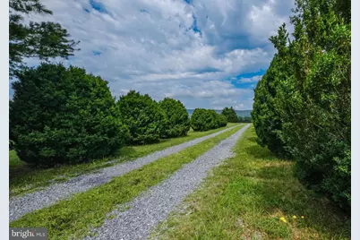 217 Silver Bell Lane, Luray, VA 22835 - Photo 77