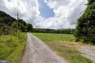 3827 Pine Grove Rd, Stanley, VA 22851 - Photo 51