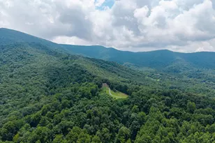 3827 Pine Grove Rd, Stanley, VA 22851 - Photo 95