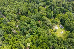 160 Piney Knoll Pl, Shenandoah, VA 22849 - Photo 47