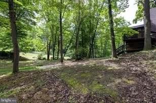 160 Piney Knoll Pl, Shenandoah, VA 22849 - Photo 37