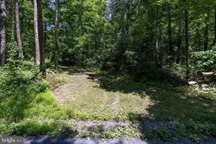 1247 Somers Rd, Luray, VA 22835 - Photo 51