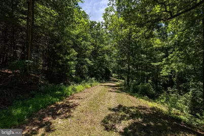1247 Somers Road, Luray, VA 22835 - Photo 43