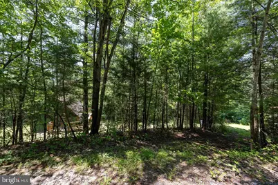 1247 Somers Road, Luray, VA 22835 - Photo 49