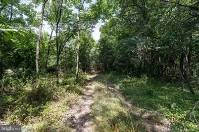 0 Eleventh Street, Shenandoah, VA 22849 - Photo 21