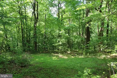 897 Helms Road, Stanley, VA 22851 - Photo 41