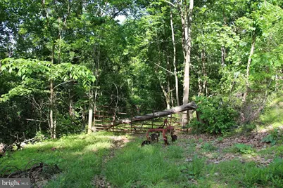 897 Helms Road, Stanley, VA 22851 - Photo 45