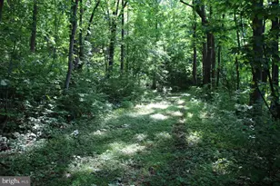 897 Helms Rd, Stanley, VA 22851 - Photo 43