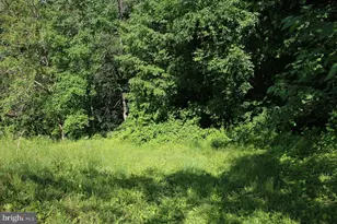 897 Helms Rd, Stanley, VA 22851 - Photo 37
