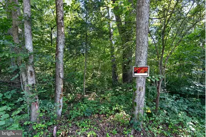 Greenway Lane, Luray, VA 22835 - Photo 13
