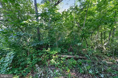 Greenway Lane, Luray, VA 22835 - Photo 21