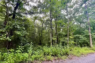 Forest Dr, Luray, VA 22835 - Photo 1