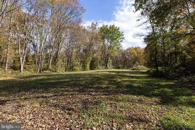 Off Dry Run Road, Luray, VA 22835 - Photo 61